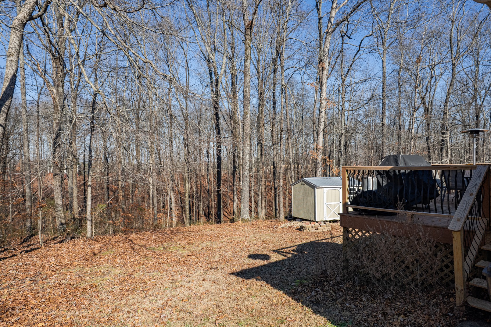129 Poling Drive Pulaski, TN 38478 - Photo 16 of 67 a house with trees in front of it