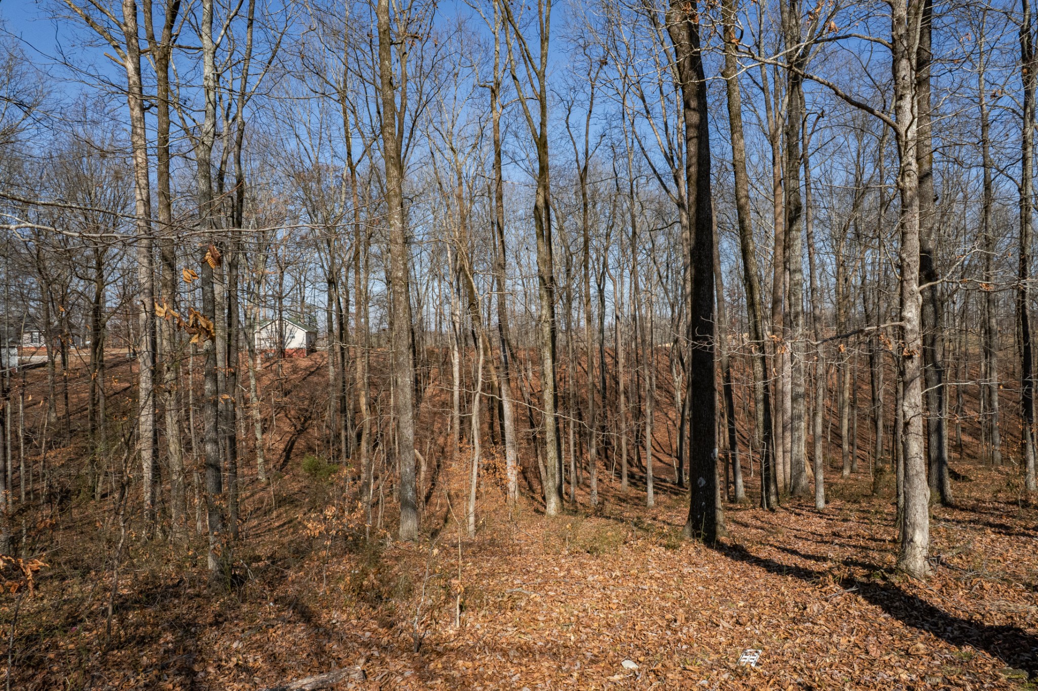 129 Poling Drive Pulaski, TN 38478 - Photo 22 of 67 a view of a backyard of the house