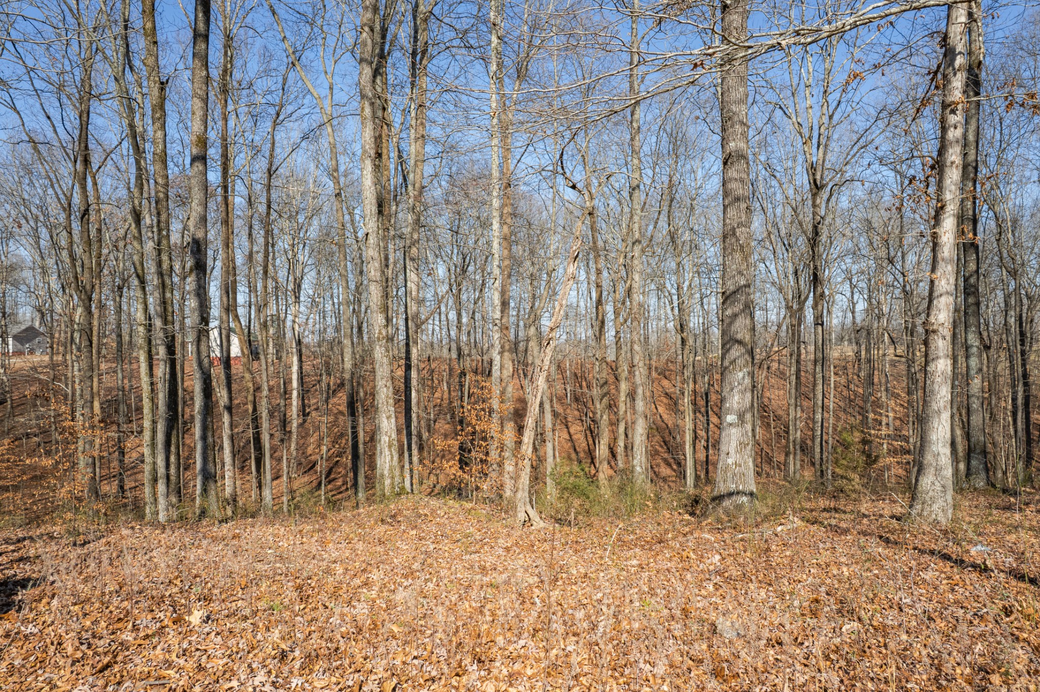 129 Poling Drive Pulaski, TN 38478 - Photo 26 of 67 a view of wooden fence