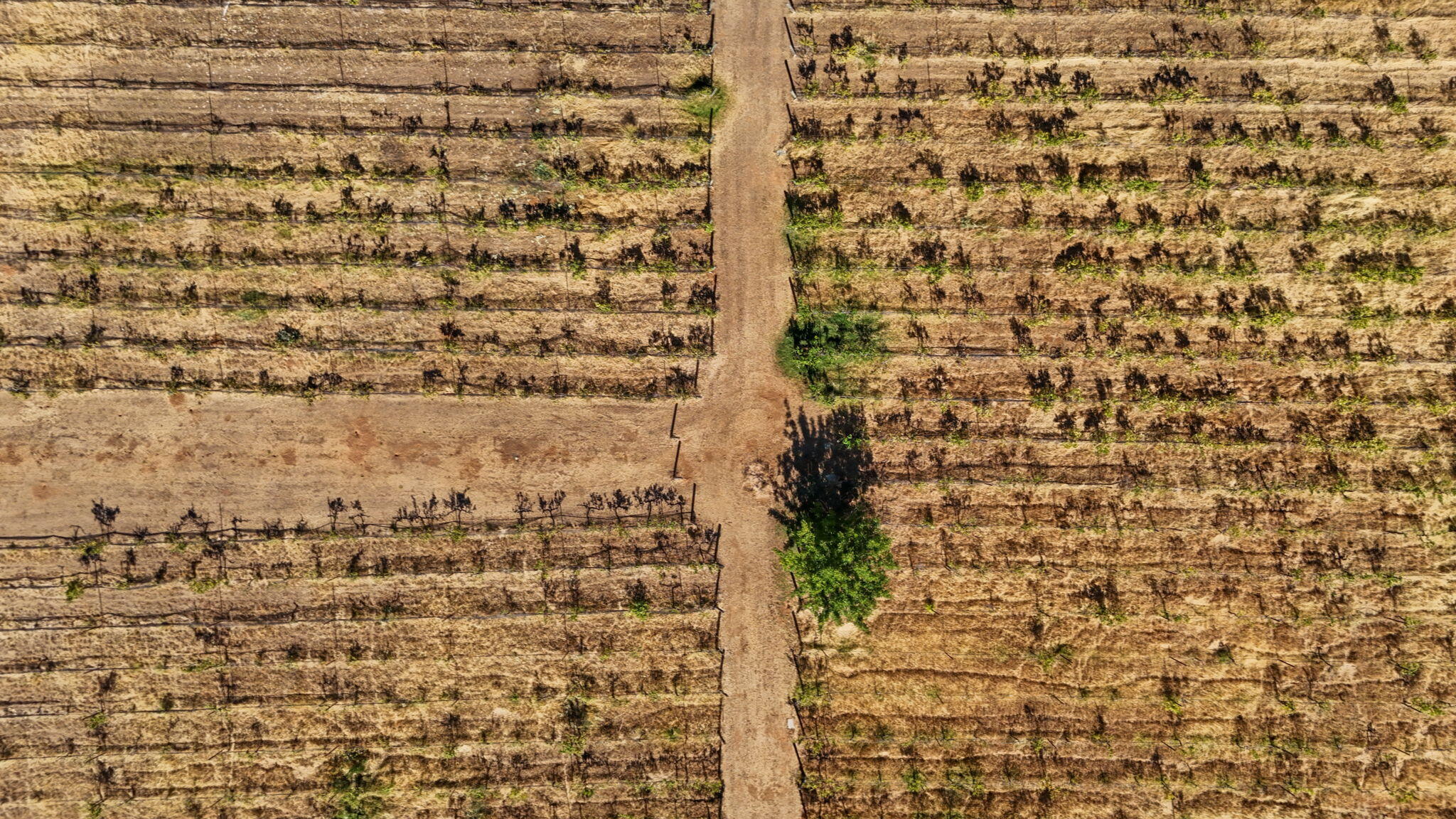 19260 Ridge Road Red Bluff, CA 96080 - Photo 44 of 84 Aerial View