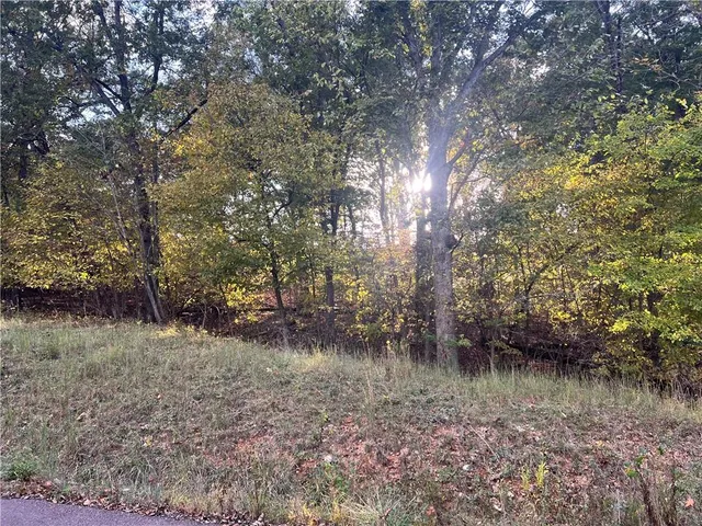 $250,000 | 8 9 12 &sw 1/4 Red Hollow Road, Gravois Mills, MO 65037