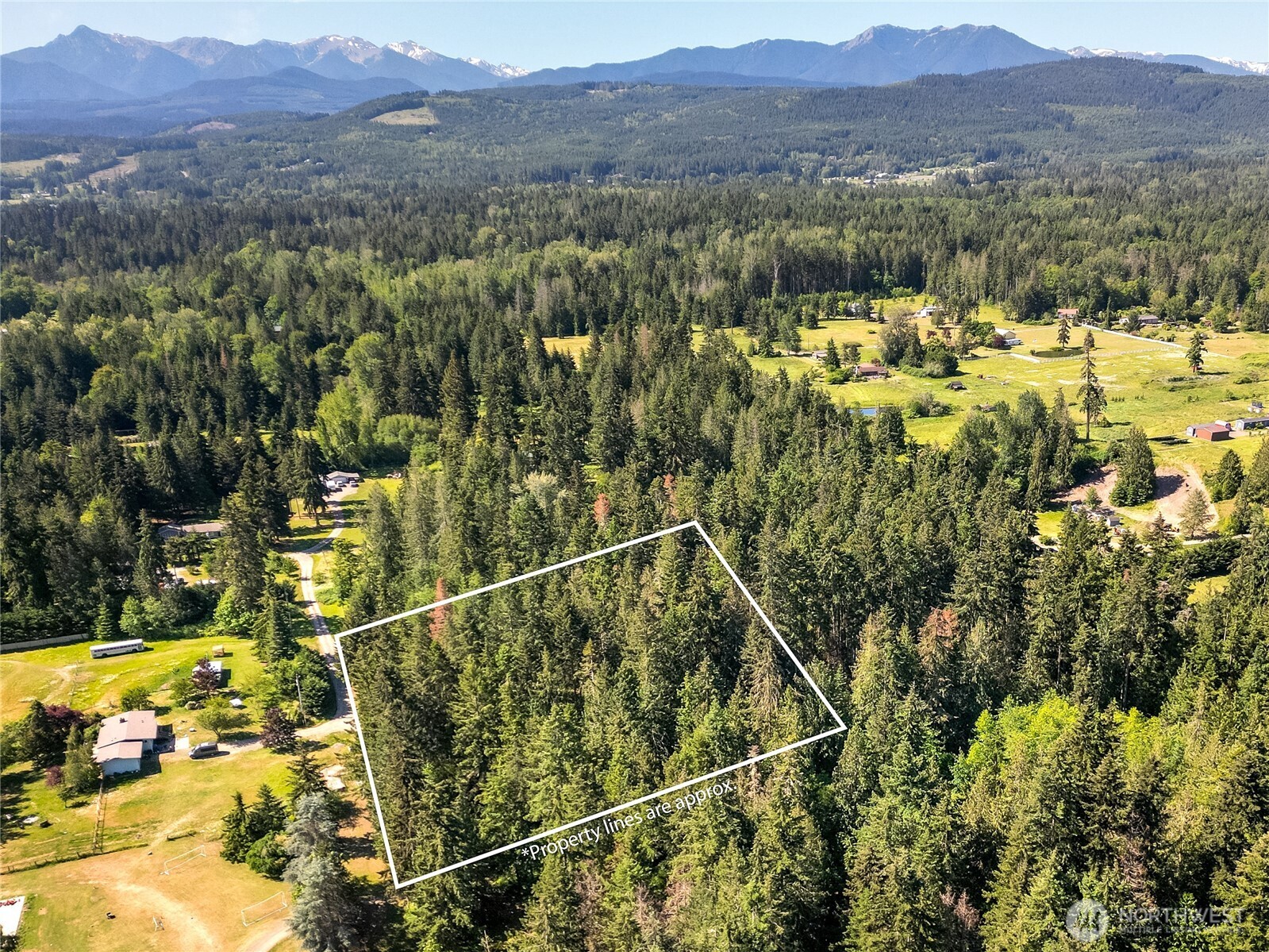 9999 Charles Roberts Road Sequim, WA 98382 - Photo 5 of 19