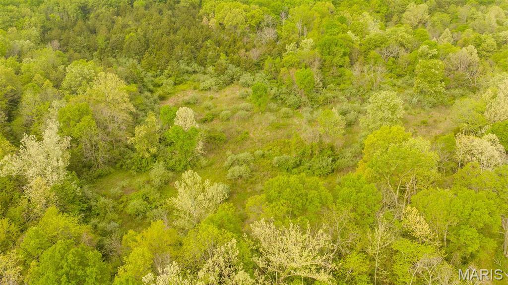 -tract #1 Tappmeyer Road Owensville, MO 65066 - Photo 14 of 60