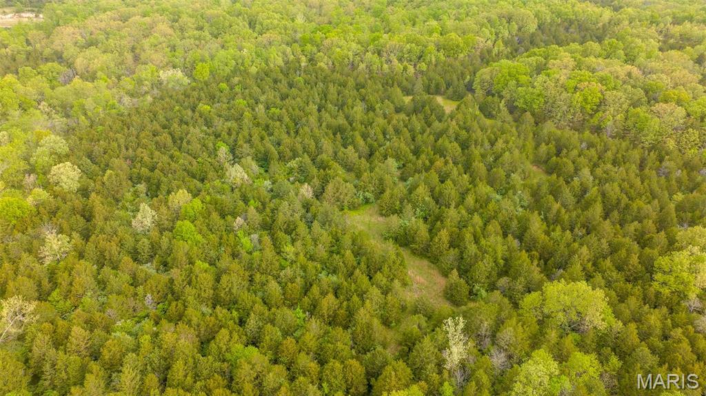 -tract #1 Tappmeyer Road Owensville, MO 65066 - Photo 19 of 60