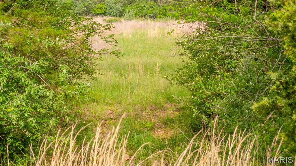 -tract #1 Tappmeyer Road Owensville, MO 65066 - Photo 28 of 60