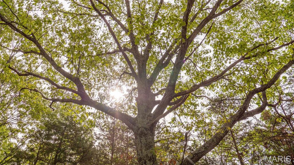 -tract #1 Tappmeyer Road Owensville, MO 65066 - Photo 32 of 60