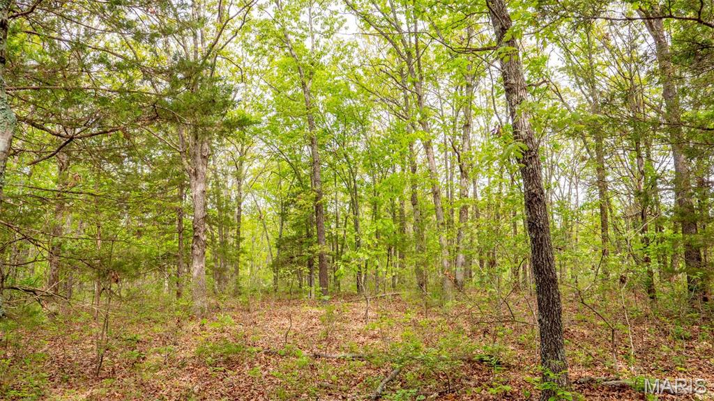 -tract #1 Tappmeyer Road Owensville, MO 65066 - Photo 36 of 60