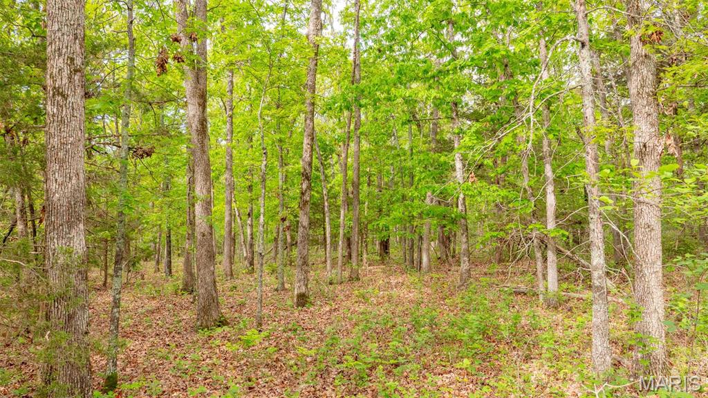 -tract #1 Tappmeyer Road Owensville, MO 65066 - Photo 38 of 60