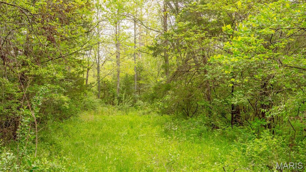 -tract #1 Tappmeyer Road Owensville, MO 65066 - Photo 40 of 60