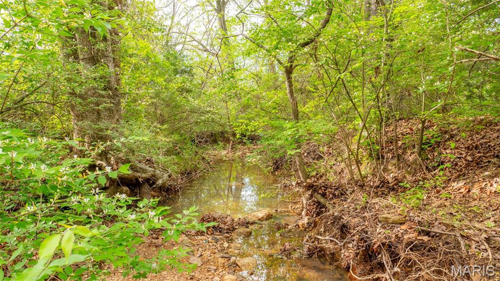 -tract #1 Tappmeyer Road Owensville, MO 65066 - Photo 50 of 60