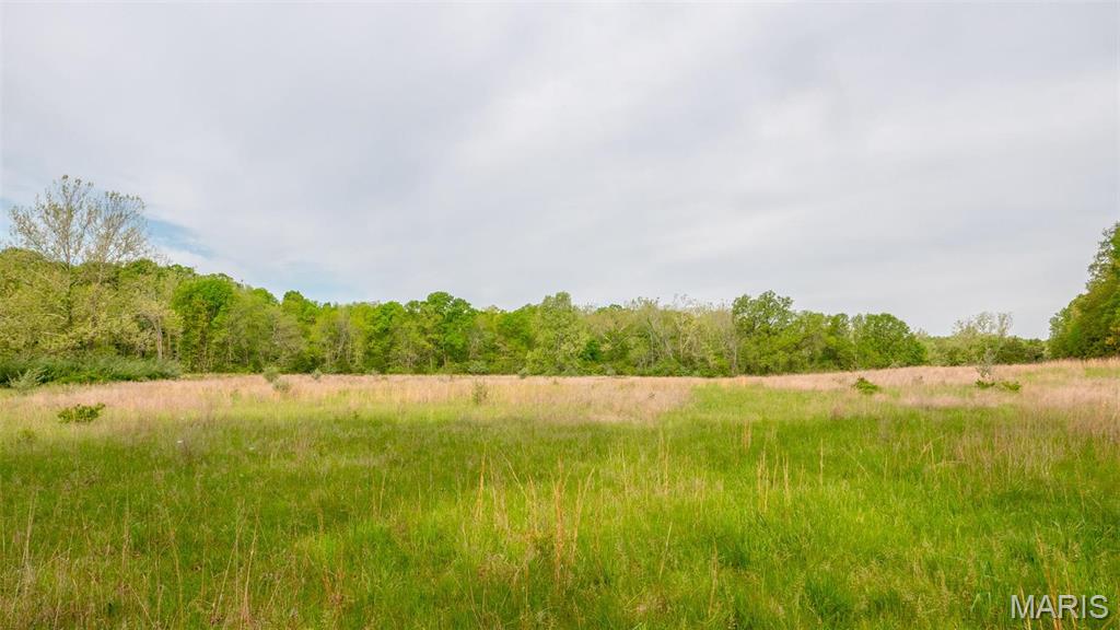 -tract #1 Tappmeyer Road Owensville, MO 65066 - Photo 51 of 60