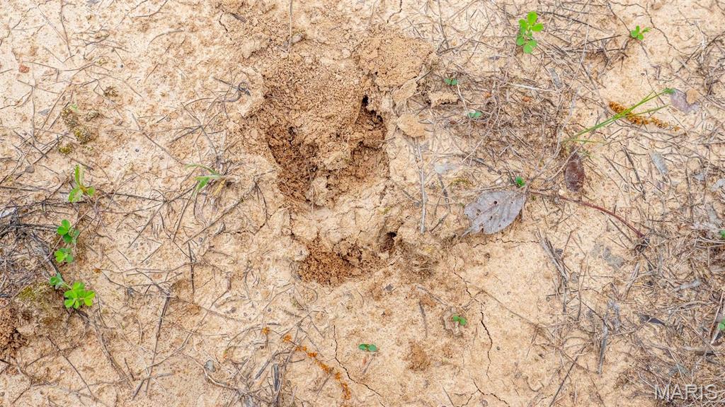 -tract #1 Tappmeyer Road Owensville, MO 65066 - Photo 56 of 60