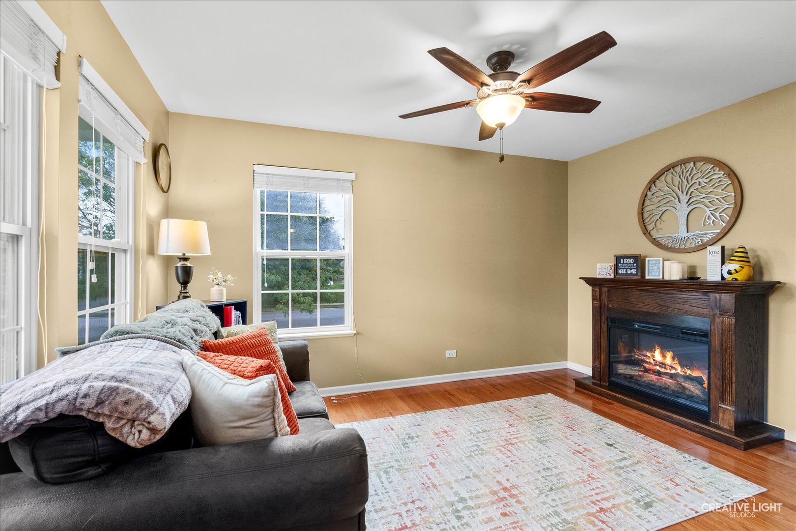 479 Raintree Drive Oswego, IL 60543 - Photo 2 of 20