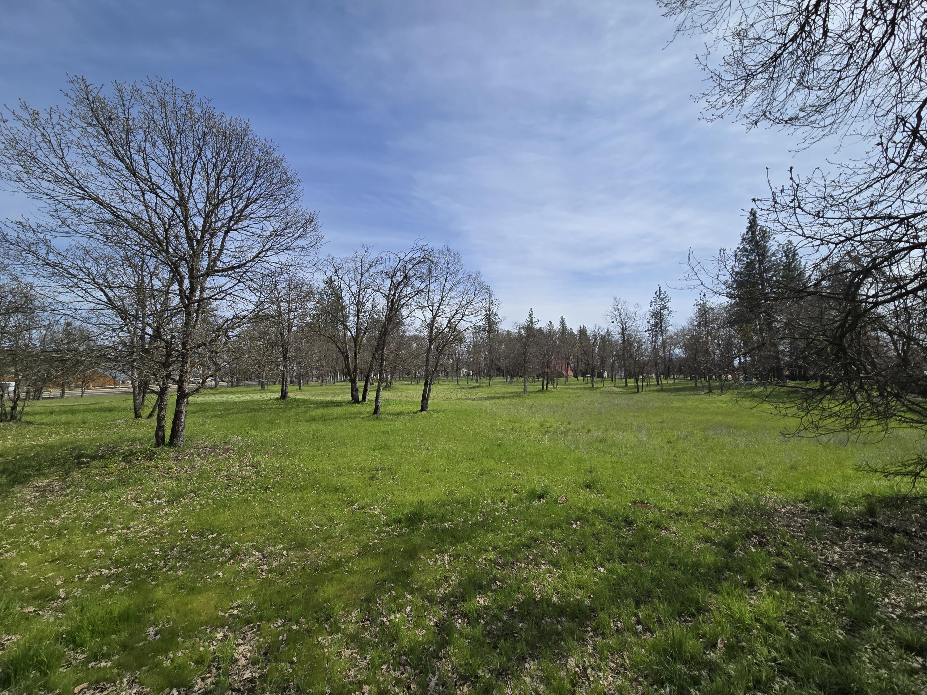 Echo Way Eagle Point, OR 97524 - Photo 3 of 7 a view of field with trees in the background