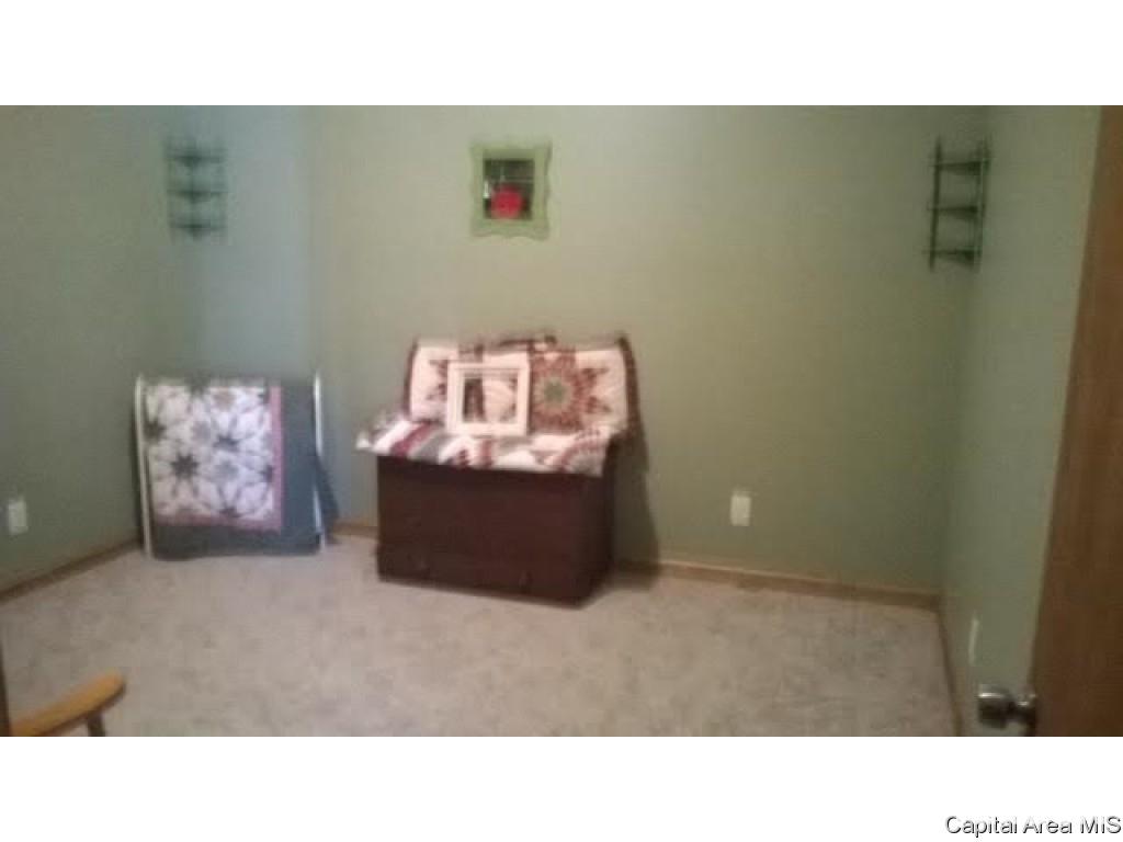 1118 McGlaughlin Road Bluffs, IL 62621 - Photo 11 of 13