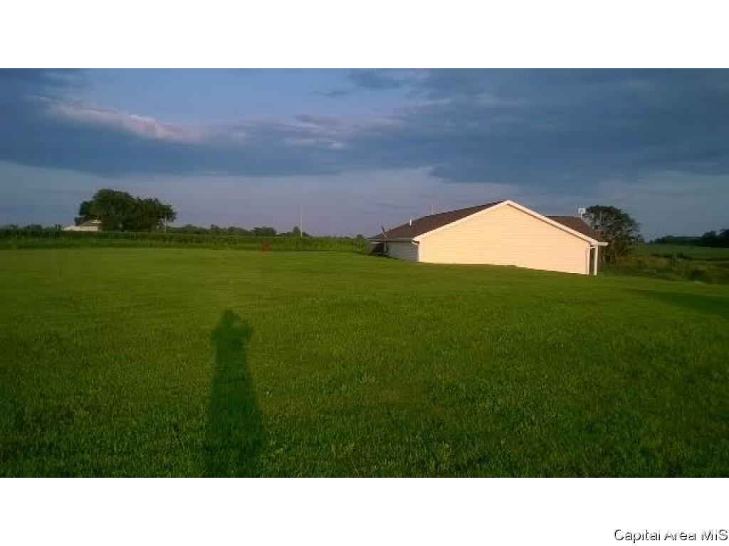 1118 McGlaughlin Road Bluffs, IL 62621 - Photo 12 of 13