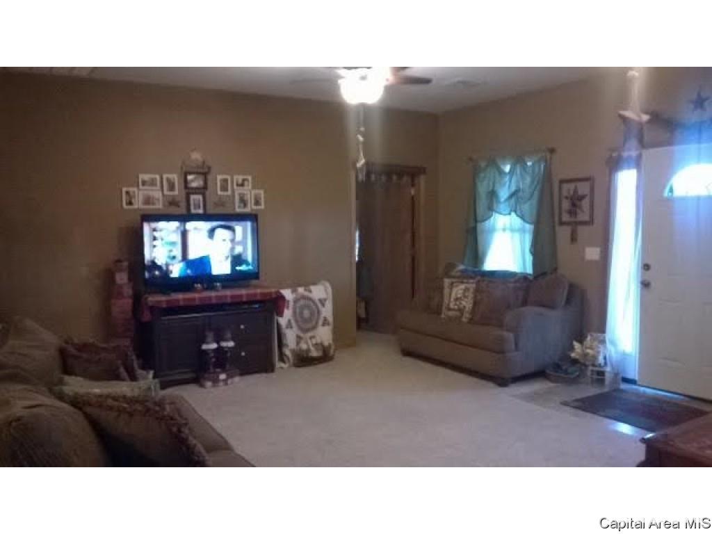 1118 McGlaughlin Road Bluffs, IL 62621 - Photo 2 of 13