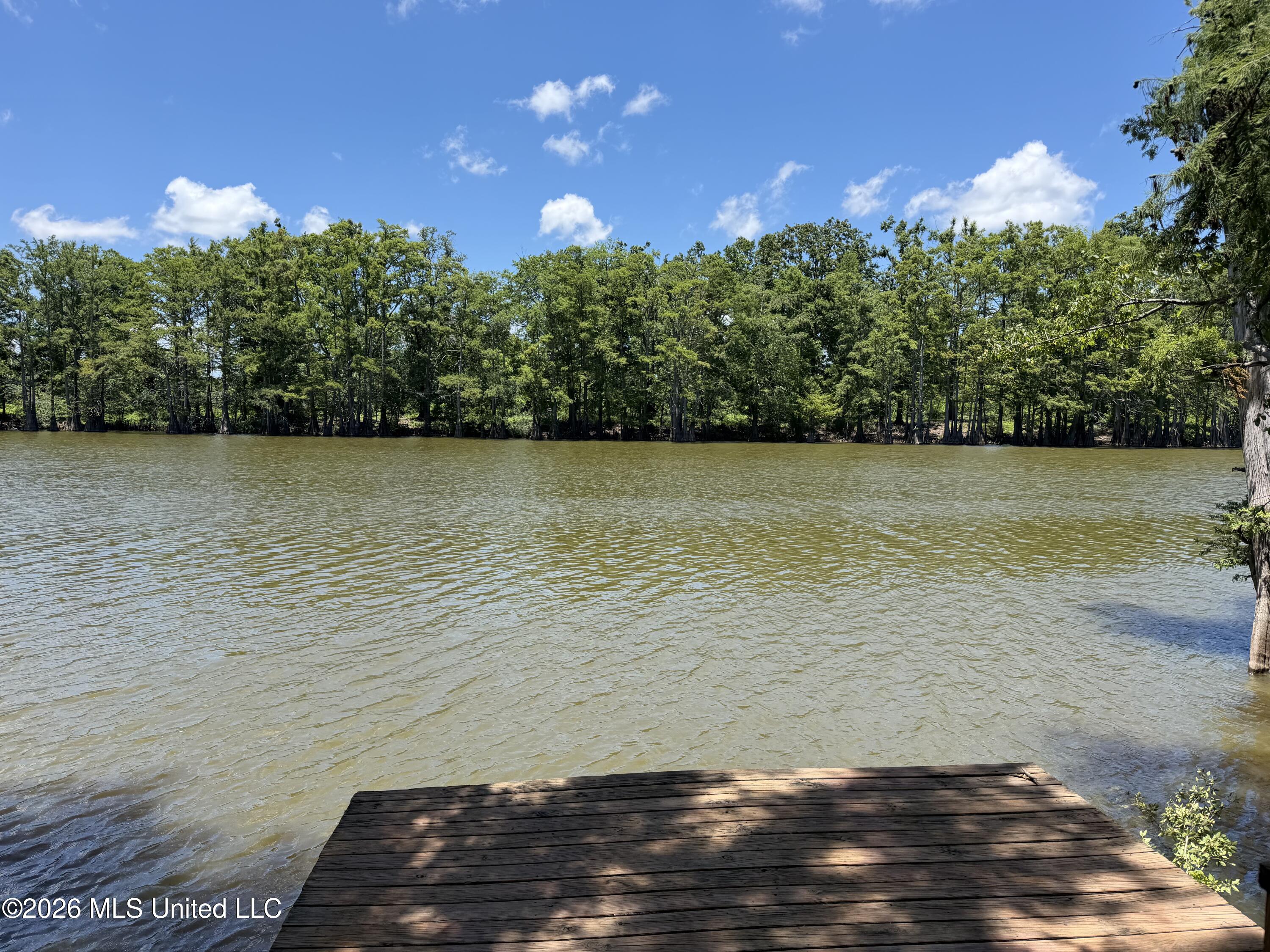 1723 Shoemake Road Yazoo City, MS 39194 - Photo 45 of 62 IMG_0786