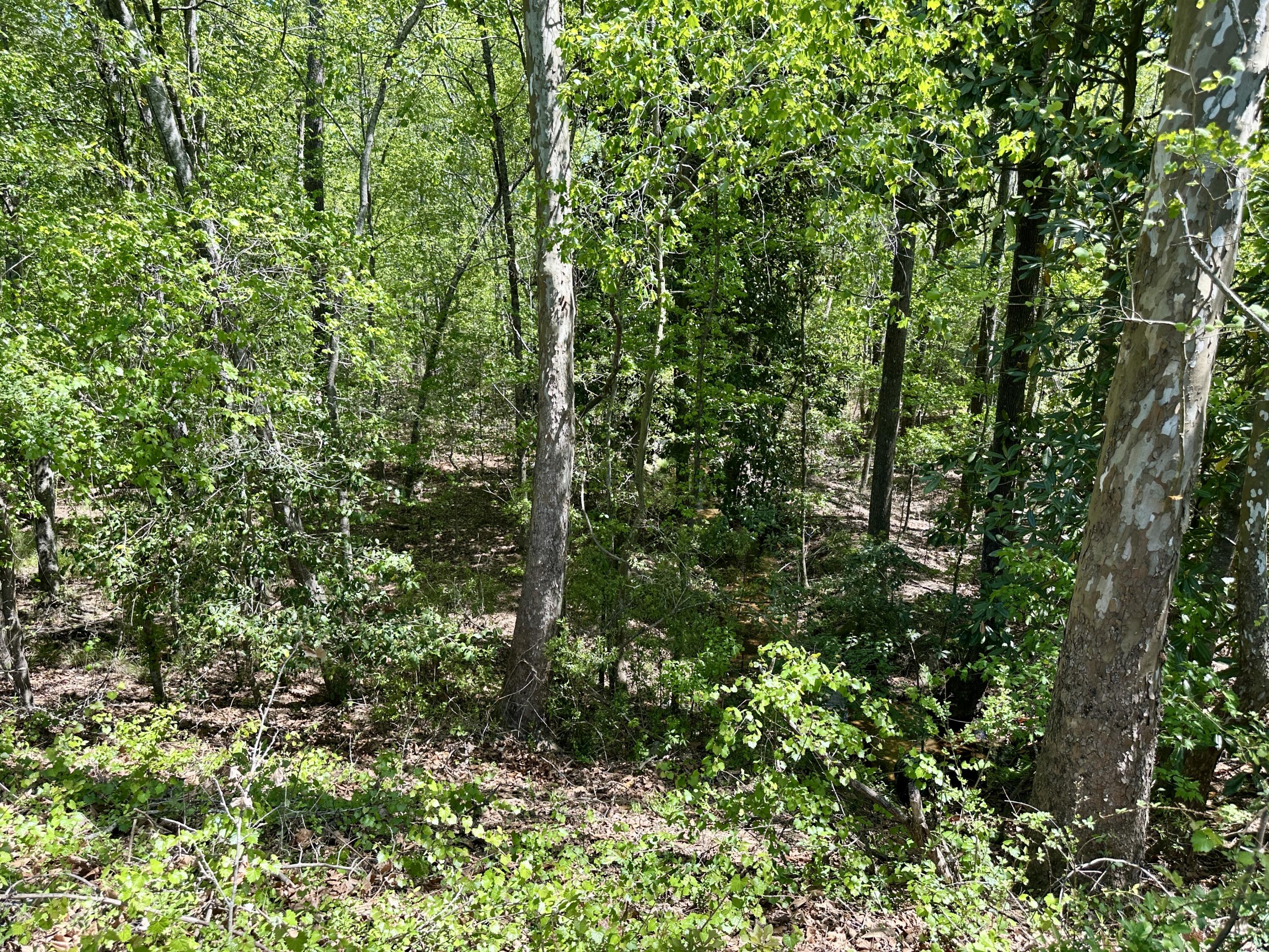 3021 Salley Road Salley, SC 29137 - Photo 63 of 73