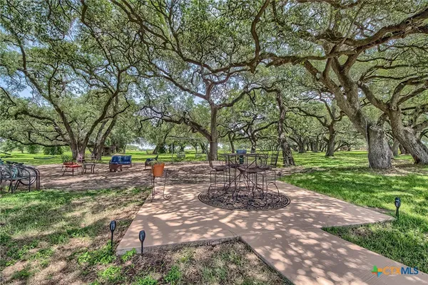 a view of a park with large trees