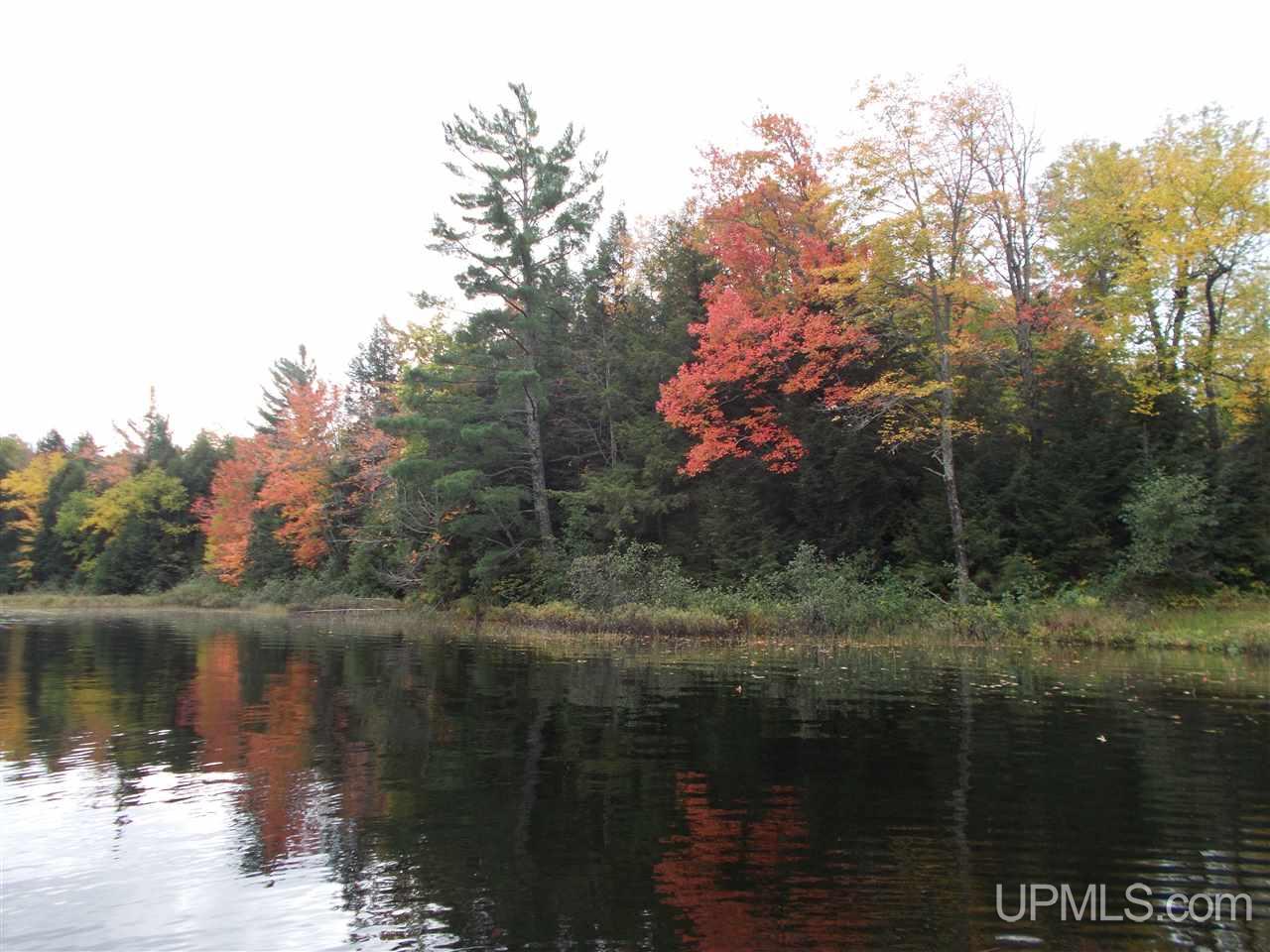 Clark Lake Jack Spurr Road Wakefield, MI 49968 - Photo 9 of 20