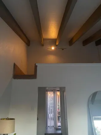 a picture of flowers