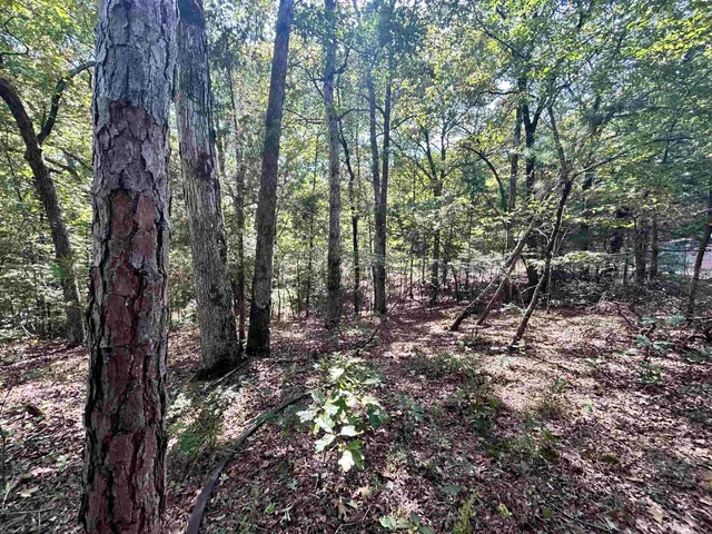 a backyard of a house with lots of trees