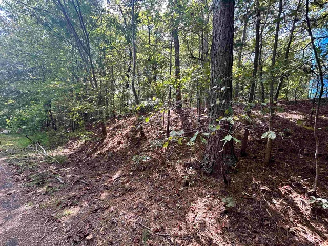 a view of a yard with a tree