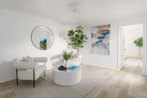 a living room with a couch and a potted plant