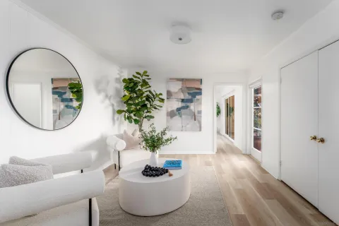 a living room with furniture a potted plant and a wooden floor
