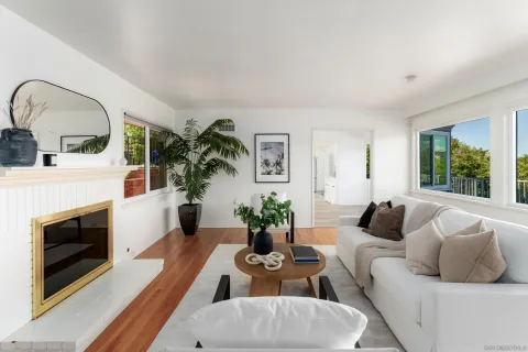 a living room with furniture a fireplace and potted plants