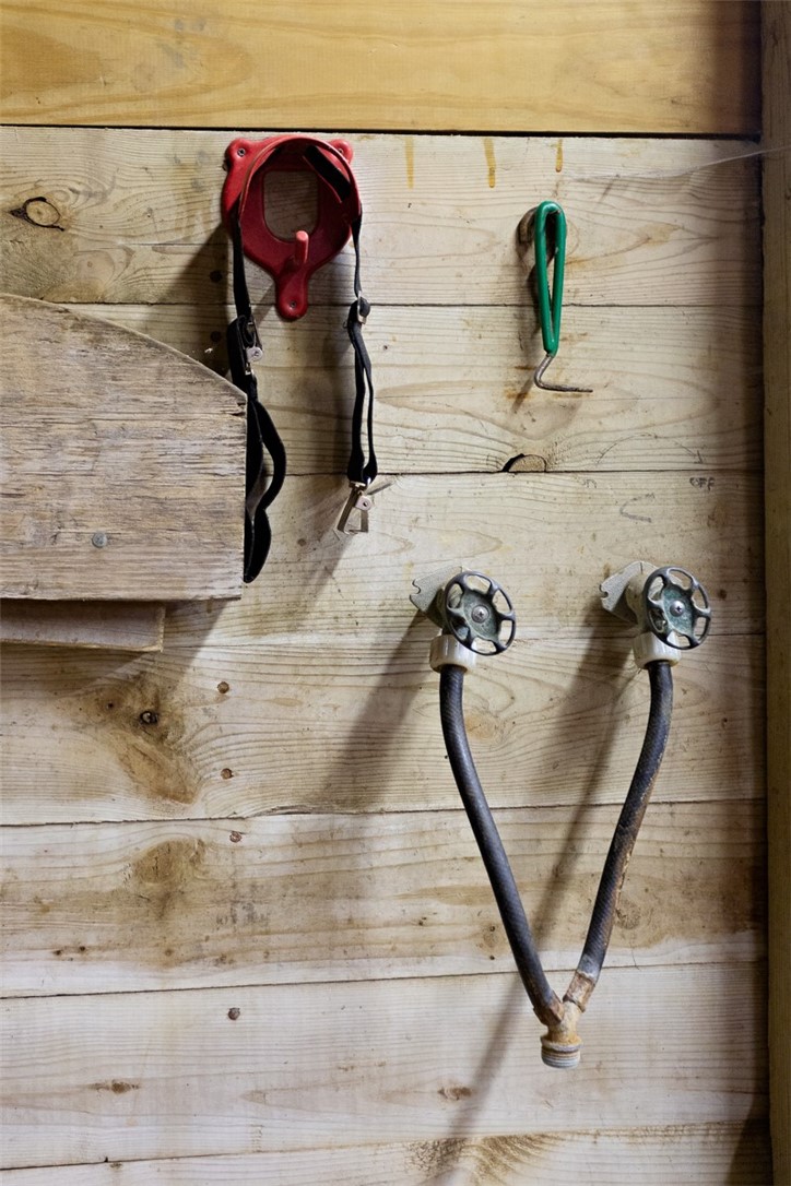 4583 Lima Road Geneseo, NY 14454 - Photo 40 of 50