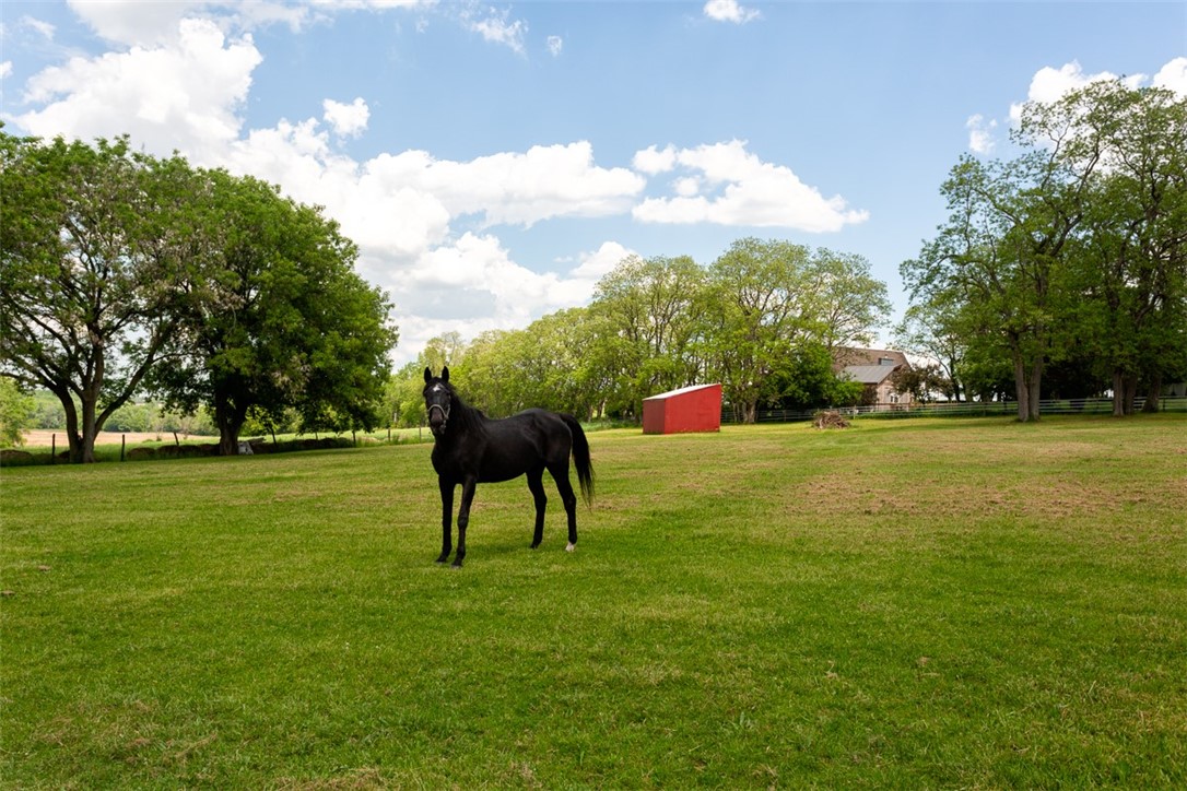 4583 Lima Road Geneseo, NY 14454 - Photo 46 of 50