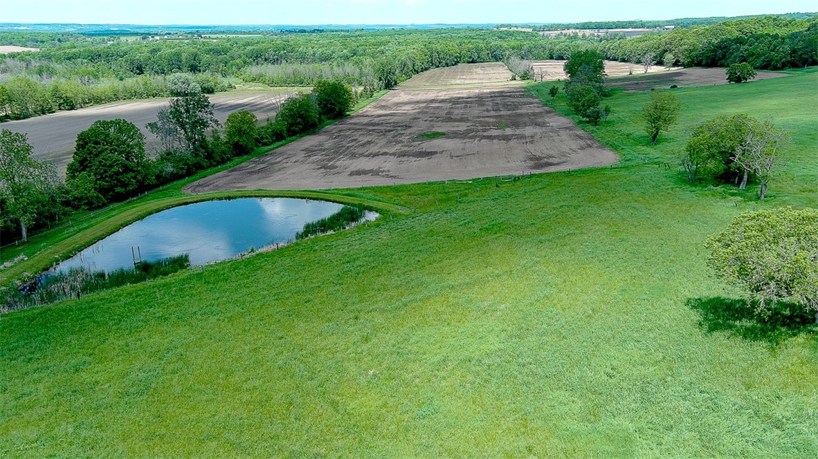 4583 Lima Road Geneseo, NY 14454 - Photo 8 of 50