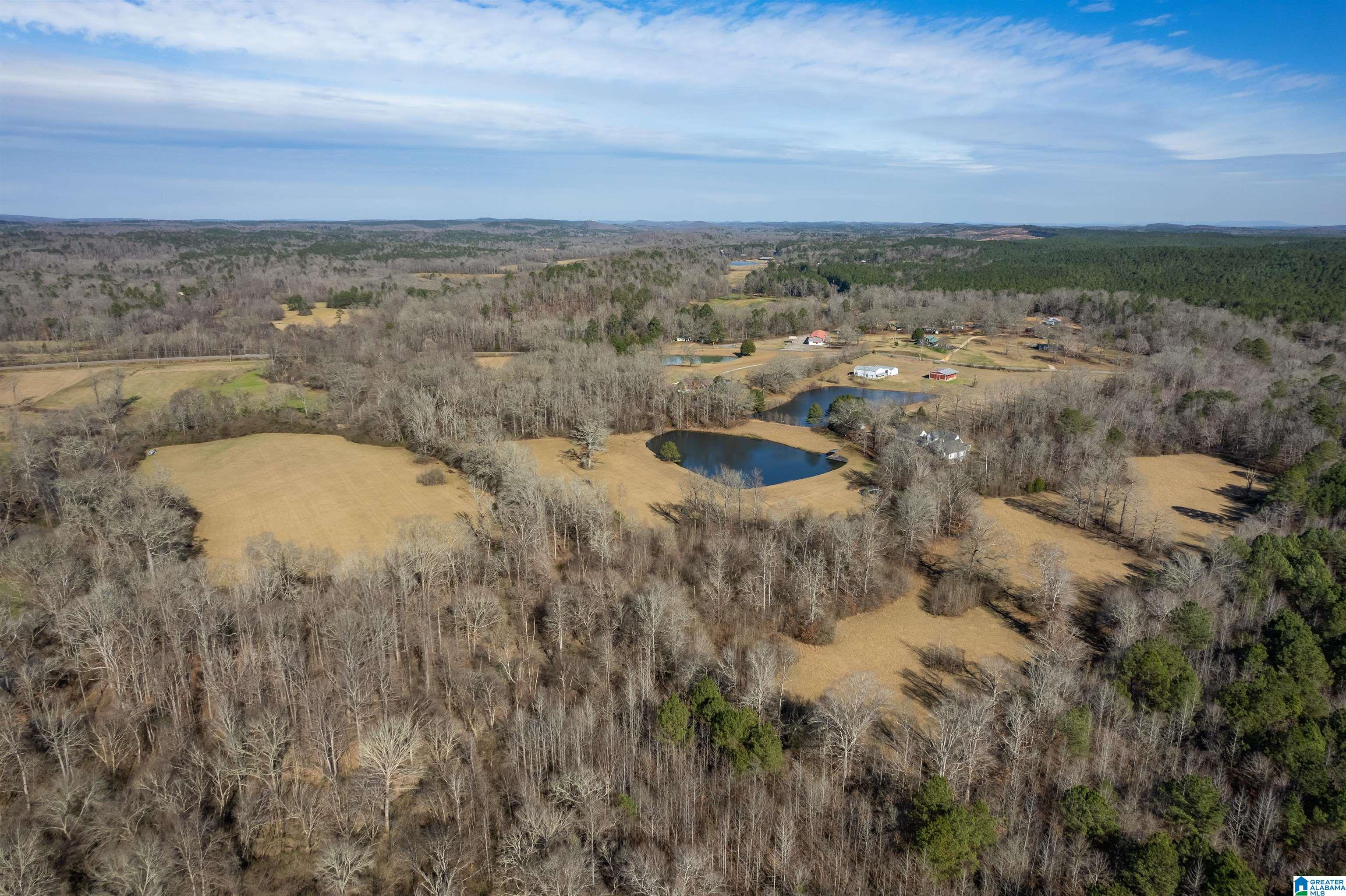 4875 Camp Creek Road South Pell City, AL 35128 - Photo 1 of 47
