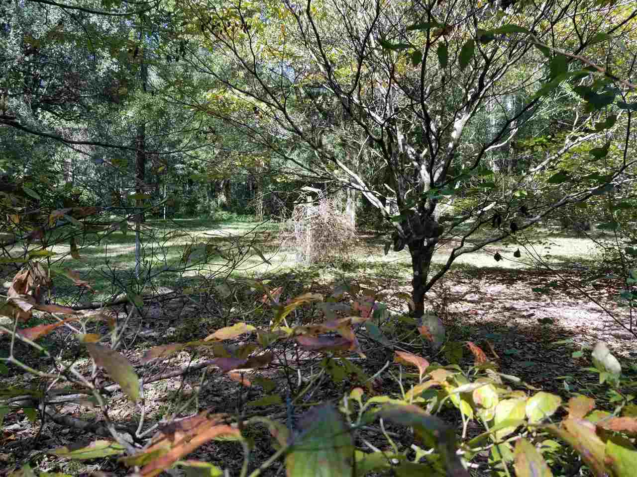 1297 Riverview Road Havana, FL 32333 - Photo 13 of 20 Gallery Image 13