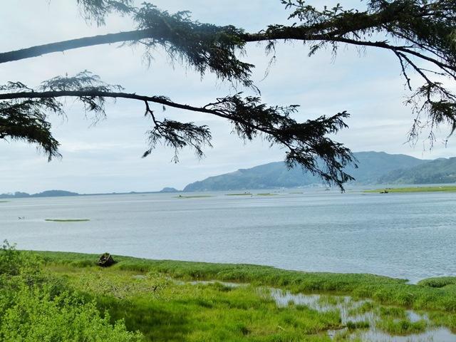 2325 Bayocean Road Northwest Tillamook, OR 97141 - Photo 27 of 30 20170511171713136962000000-o