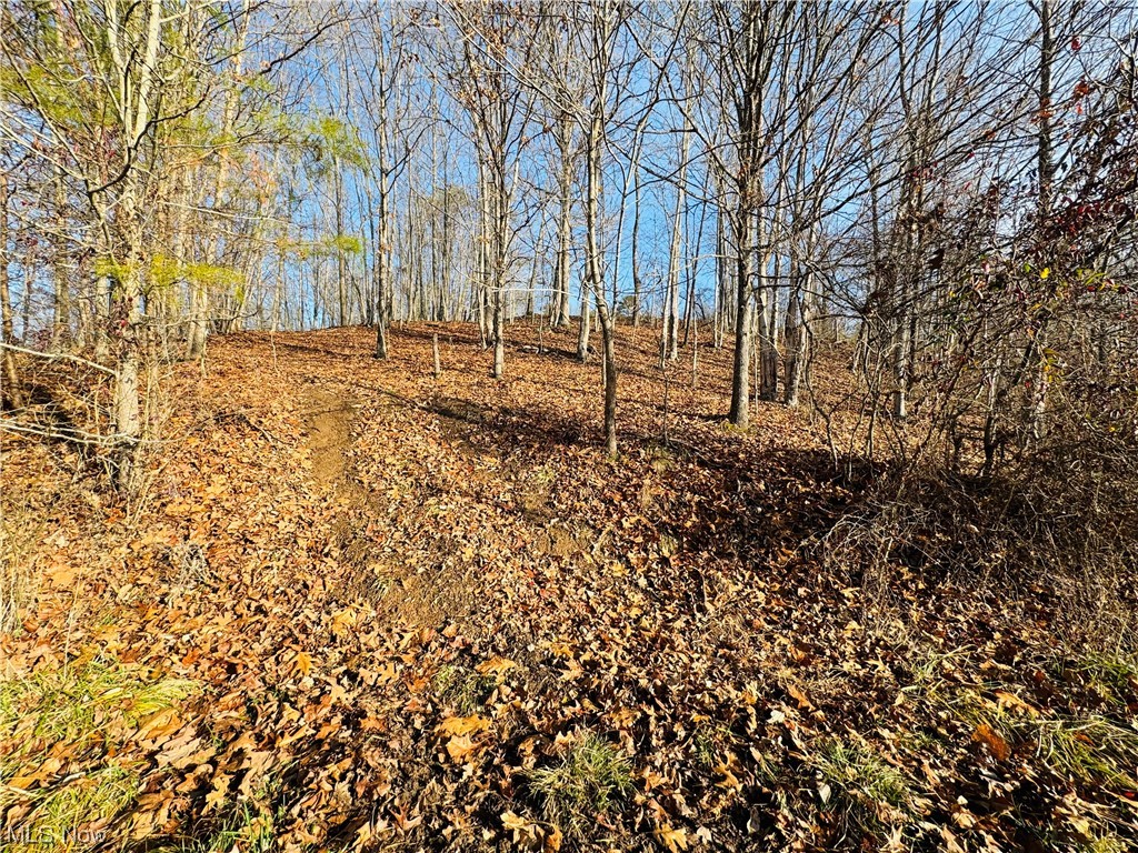 426 Buck Run Road Mineral Wells, WV 26150 - Photo 11 of 39 View of local wilderness