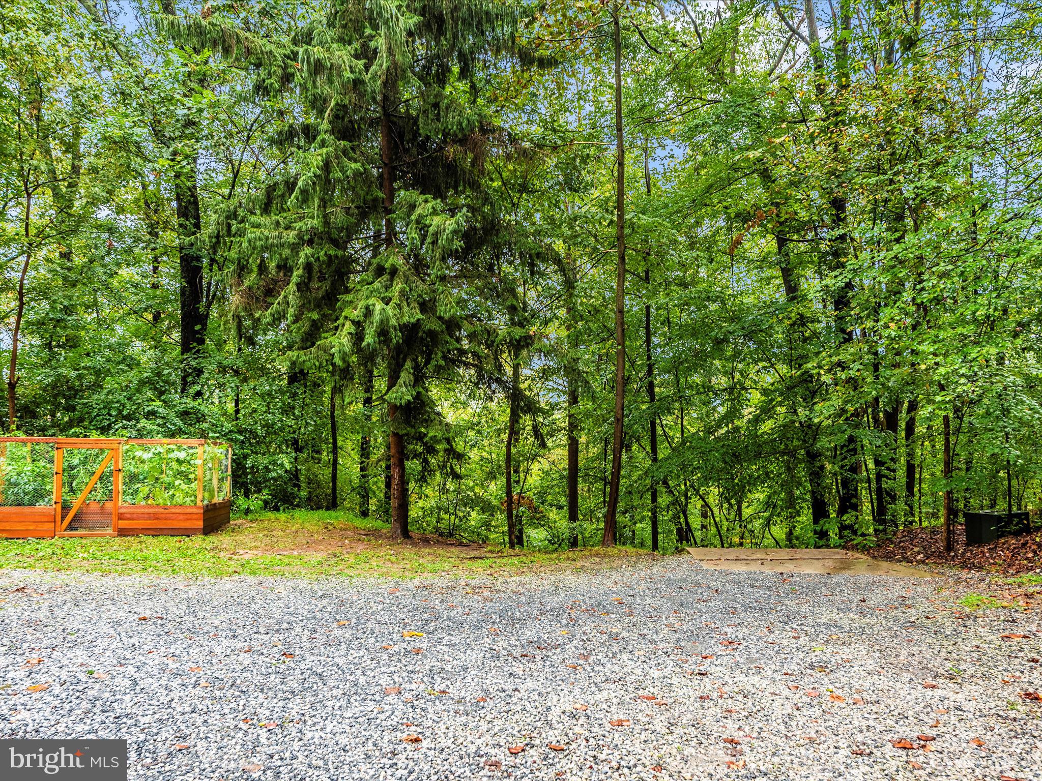 6838 Mountain Church Road Middletown, MD 21769 - Photo 48 of 55 a view of a yard with plants and trees