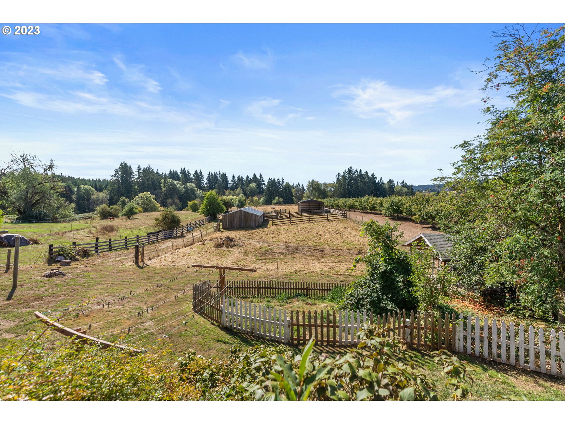 31170 Southwest Firdale Road Cornelius, OR 97113 - Photo 38 of 46 a view of a lake with a yard