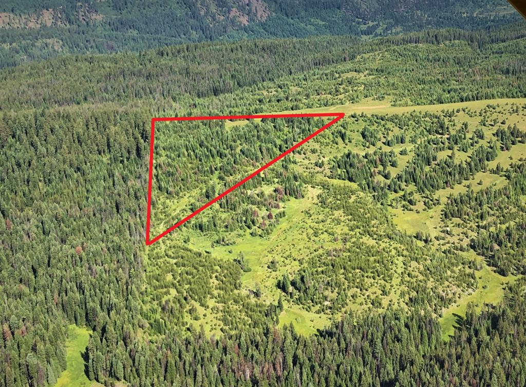 5 Mill Creek Road Grangeville, ID 83530 - Photo 11 of 24