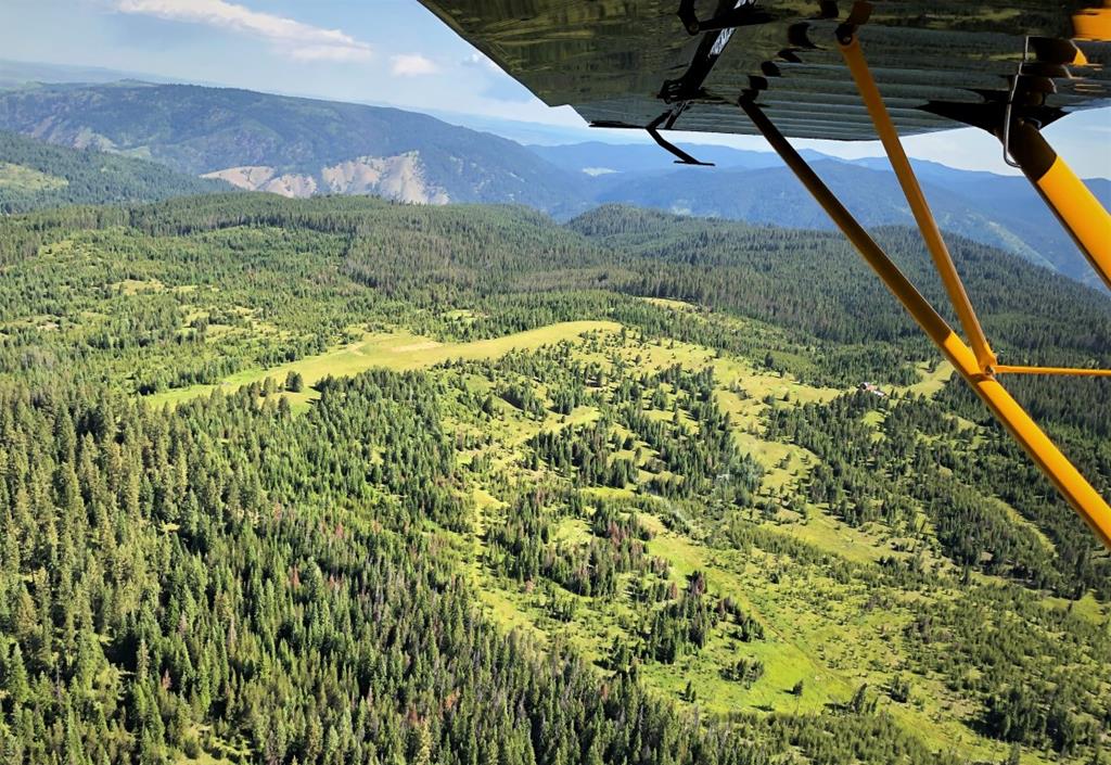 5 Mill Creek Road Grangeville, ID 83530 - Photo 17 of 24