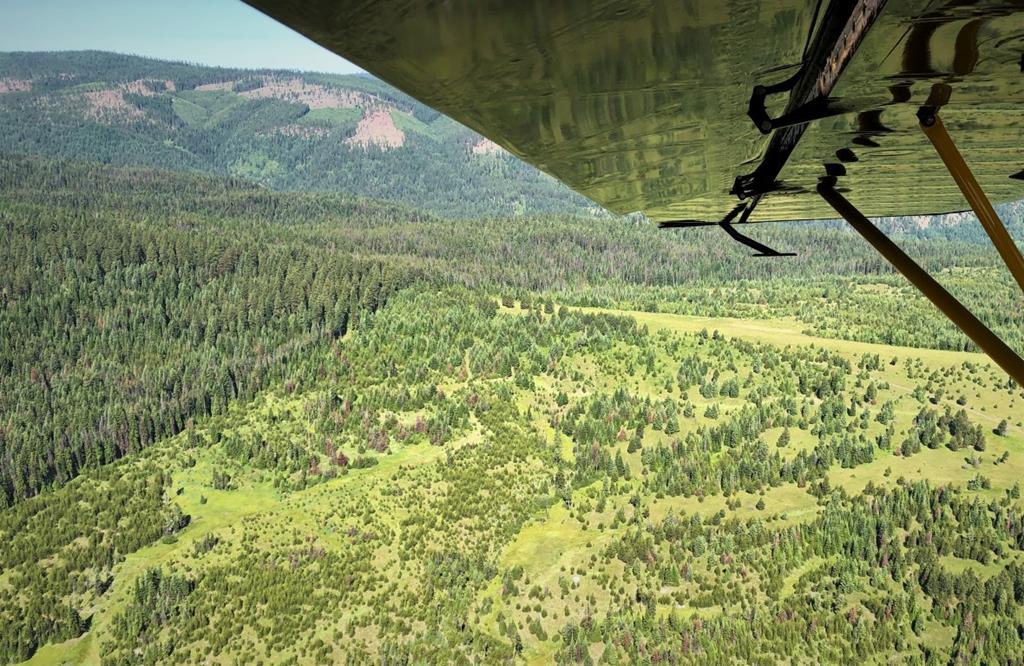 5 Mill Creek Road Grangeville, ID 83530 - Photo 18 of 24