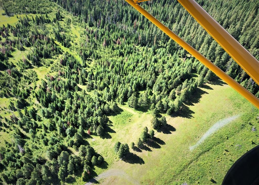 5 Mill Creek Road Grangeville, ID 83530 - Photo 19 of 24