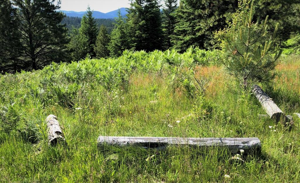 5 Mill Creek Road Grangeville, ID 83530 - Photo 20 of 24