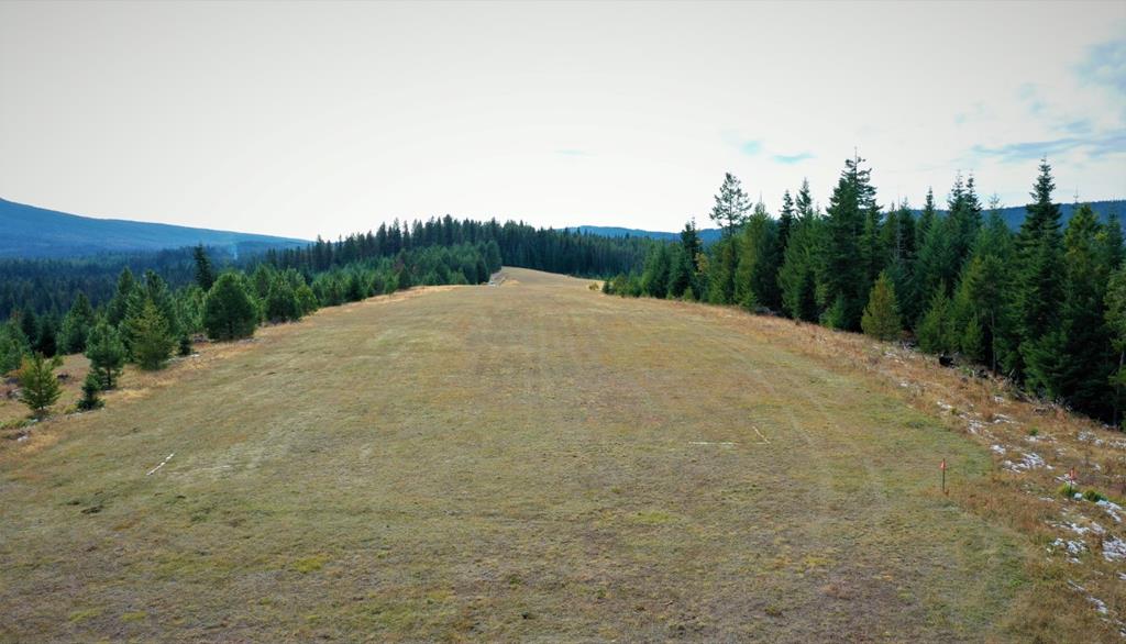 5 Mill Creek Road Grangeville, ID 83530 - Photo 2 of 24