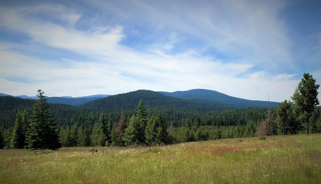 5 Mill Creek Road Grangeville, ID 83530 - Photo 24 of 24