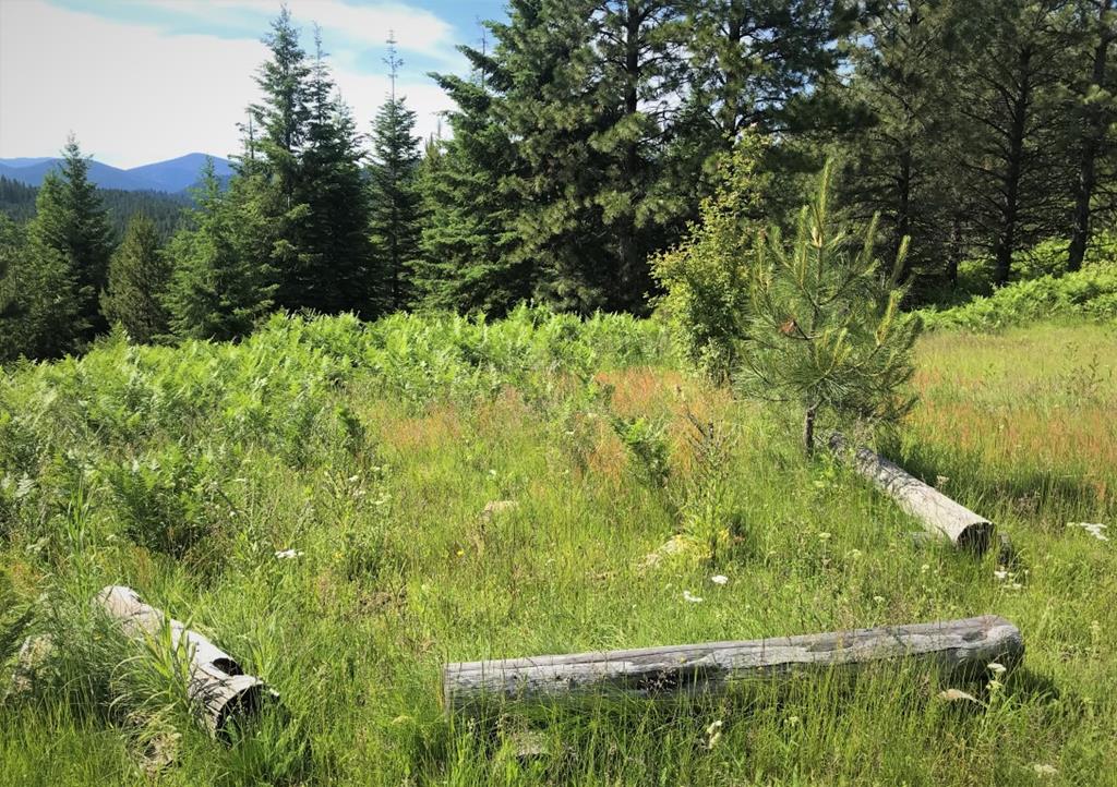 5 Mill Creek Road Grangeville, ID 83530 - Photo 5 of 24