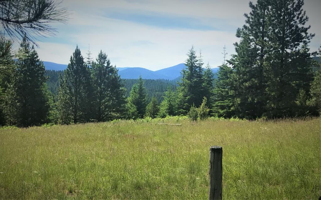 5 Mill Creek Road Grangeville, ID 83530 - Photo 6 of 24
