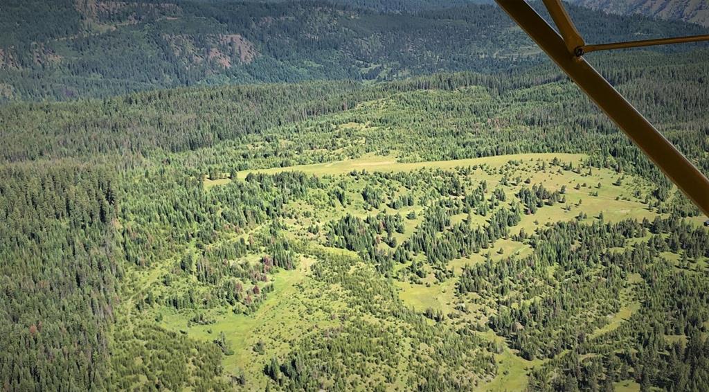 5 Mill Creek Road Grangeville, ID 83530 - Photo 8 of 24